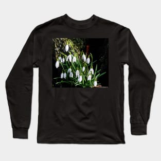 Snowdrop display Long Sleeve T-Shirt